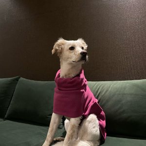 Warmer fucsia