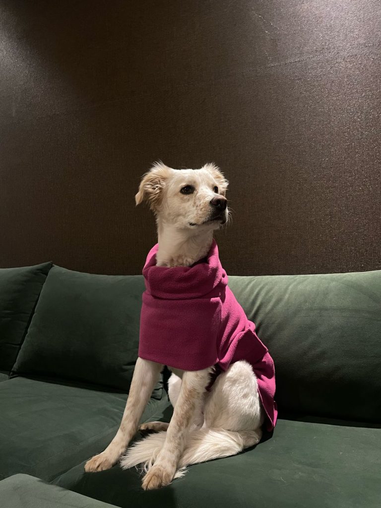 Warmer fucsia