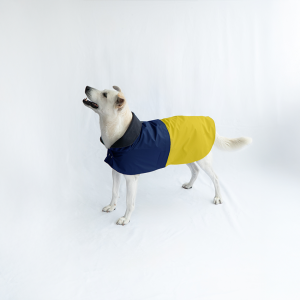 Impermeable Fulgor - Azul + amarillo